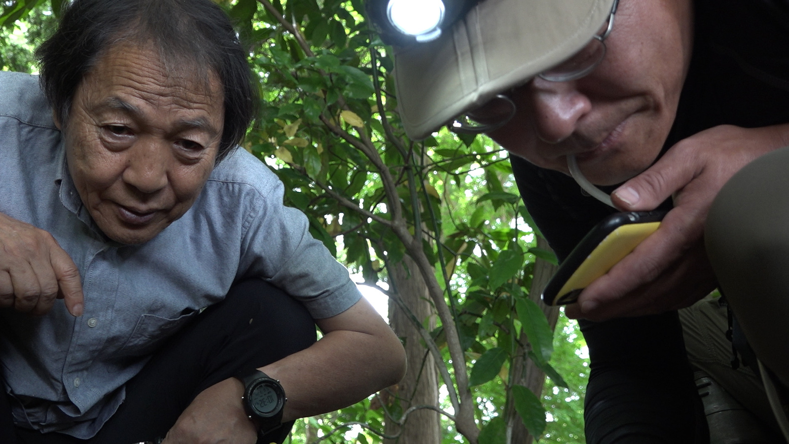 「PROJECT MRT—Natureless Solution／太陽と土と糞から切り離したテクノロジーの再考」関連上映を象徴する画像