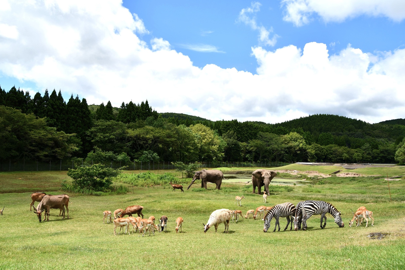 当時のメディア報道・掲載写真